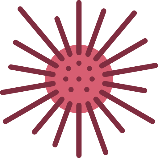 Sea urchin aquarium animals sea urchin icon Sea urchin aquarium animals sea urchin icon