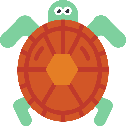 Turtle animals pet holidays icon Turtle animals pet holidays icon