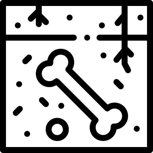 Fossil investigation ground bones icon