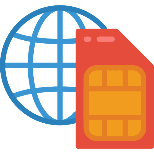 Sim card electronics globe earth icon