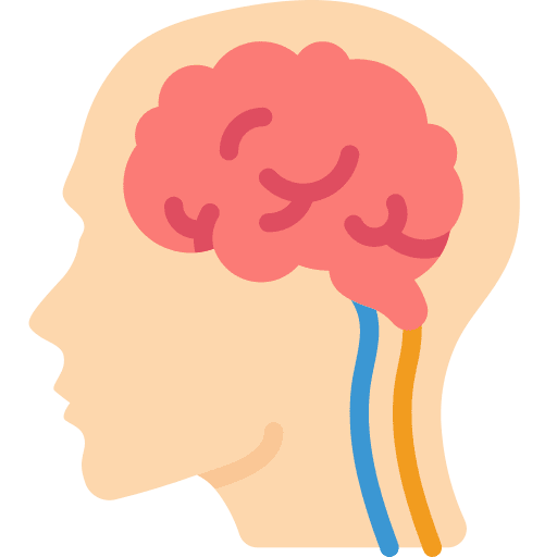 Brain medical head brain icon