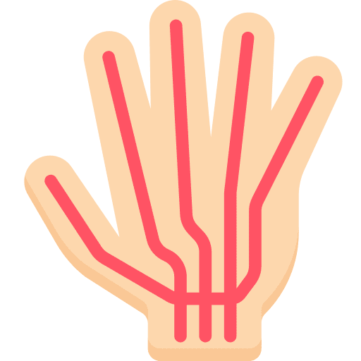 Nerves nodes medical spine icon