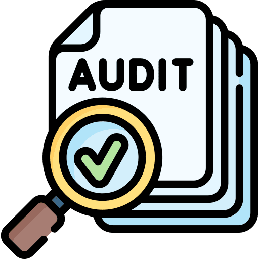 Audit information search checking icon