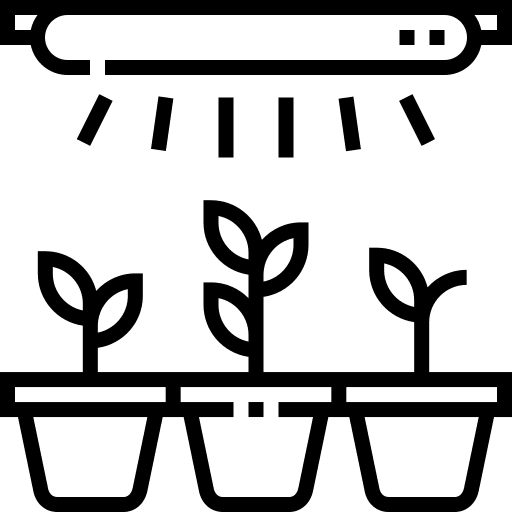 Illumination sunny plants greenhouse icon