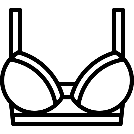 Brassiere underwear fashion brassiere icon