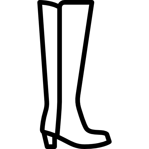 Boot fashion boot femenine icon