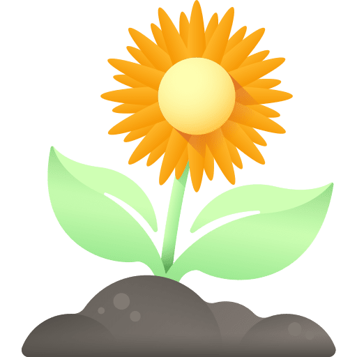 Sunflower sunflower petals botanical icon