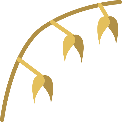 Oat grain plant branch icon