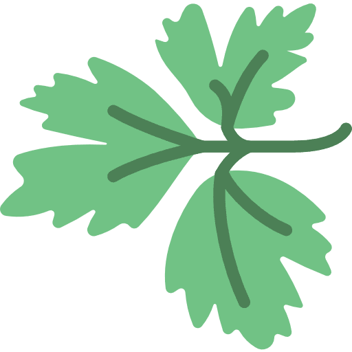 Parsley nature parsley plant icon