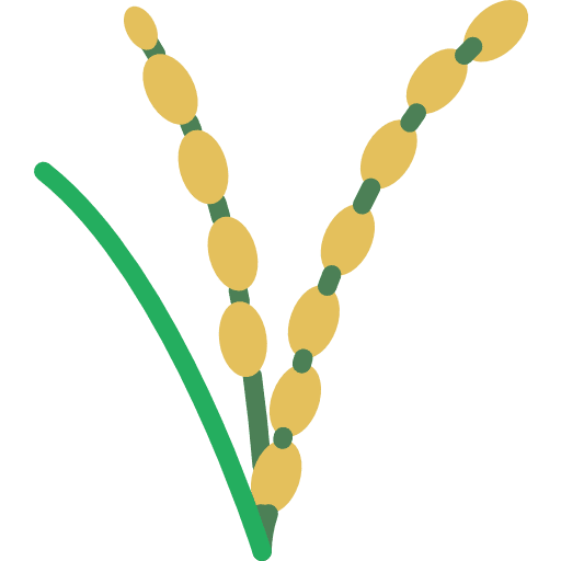 Rice farming and gardening grain rice icon