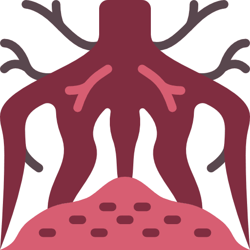 Root healthcare and medical dry nature icon