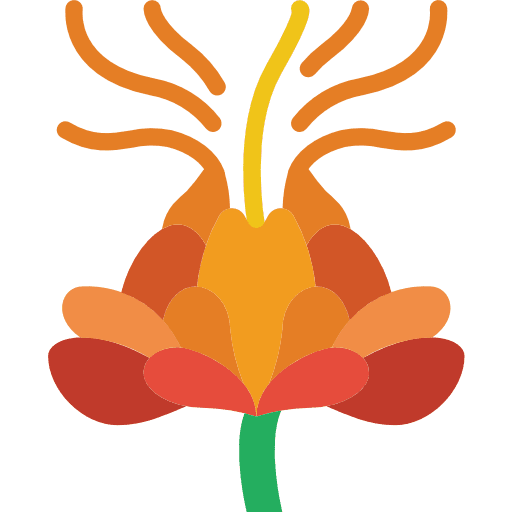 Safflower petals plant botanical icon