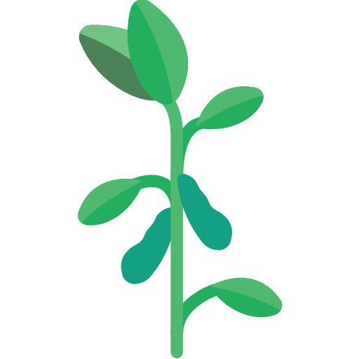 Soybean food grain plant icon