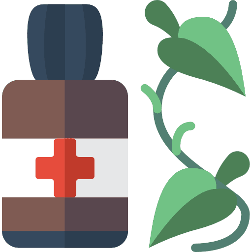 Herbal healthy treatment medicine icon