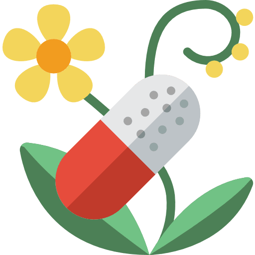 Herbal pills nature natural icon