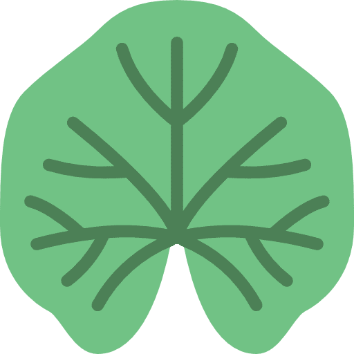 Mallow petals mallow botanical icon