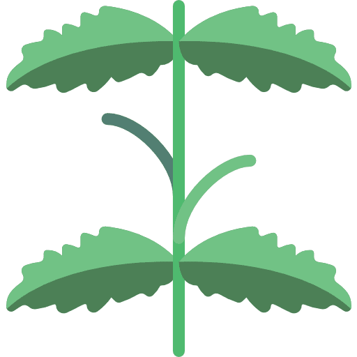 Mint vegetarian farming and gardening botanical icon