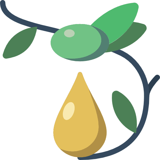 Olive nature plant leaves icon