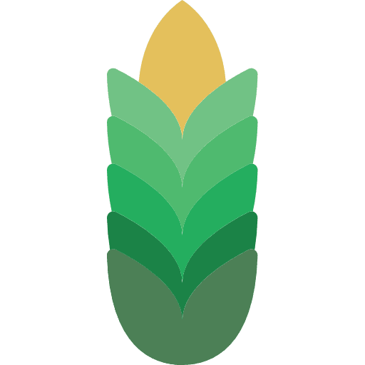Wheat wheat plant branch wheat icon
