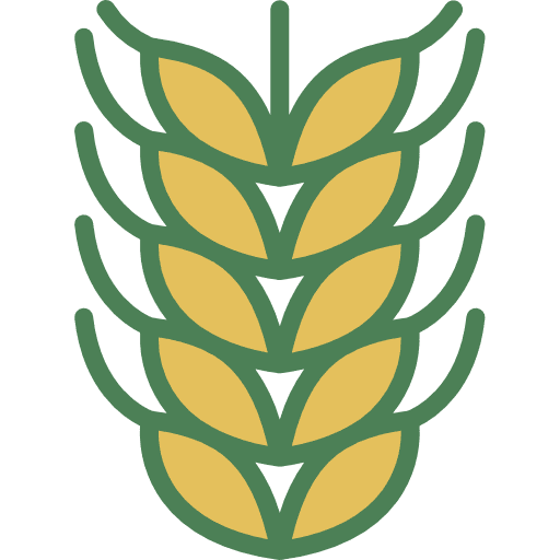 Barley barley plant farming and gardening icon