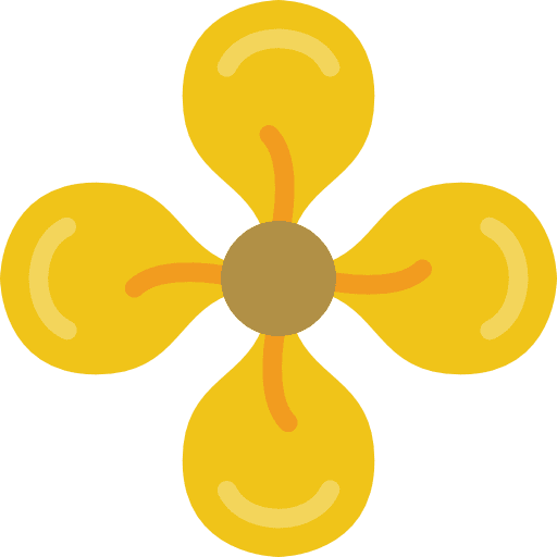 Brassicarceae flower botanical blossom icon