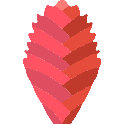 Bromeliaceae bromeliaceae blossom plant icon