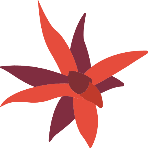 Bromeliaceae flower blossom petals icon