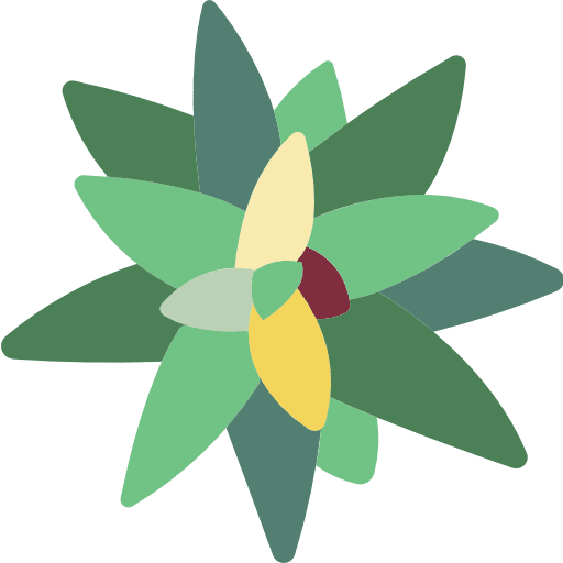 Bromeliaceae leaves bromeliaceae nature icon