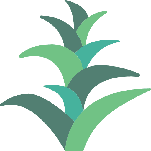 Bromeliaceae leaves petals plant icon
