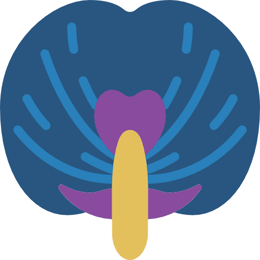 Pea petals flower blossom icon