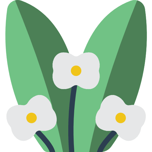 Spurge spurge floral flower icon