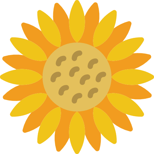 Sunflower sunflower botanical nature icon
