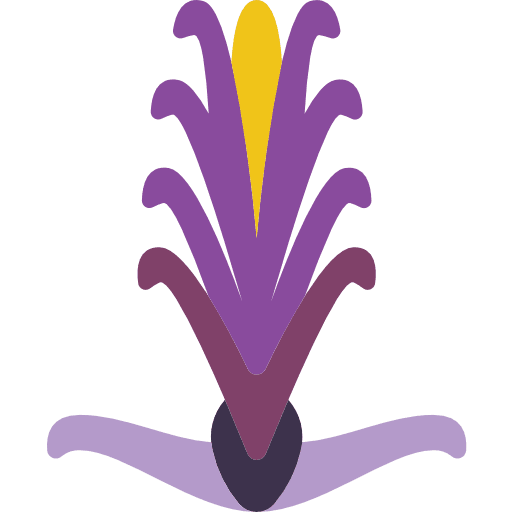 Acanthaceae acanthaceae floral petals icon