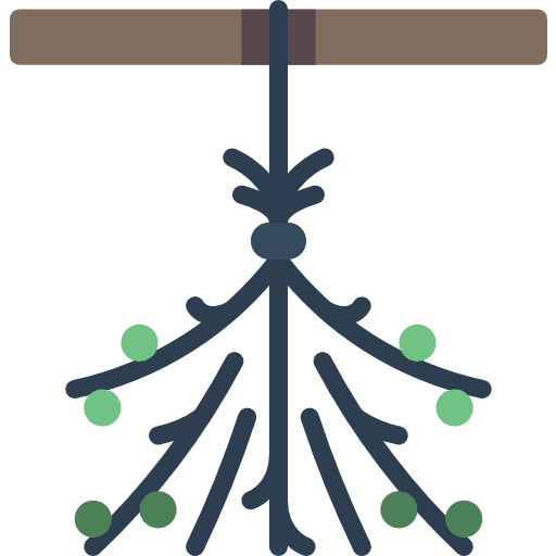 Dried nature herbal plant icon