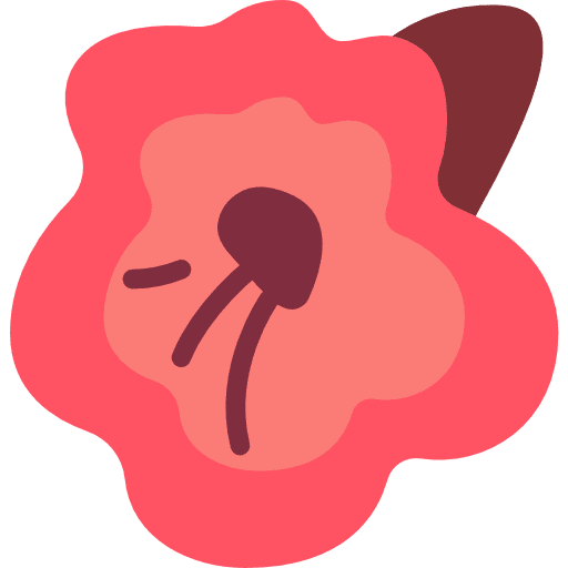 Gesneriad flower farming and gardening floral icon