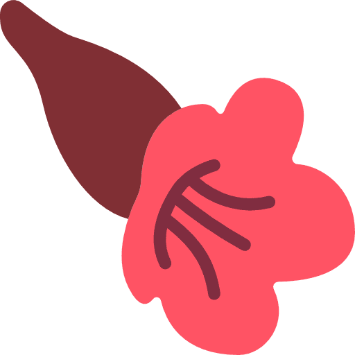 Gesneriad nature gesneriad farming and gardening icon