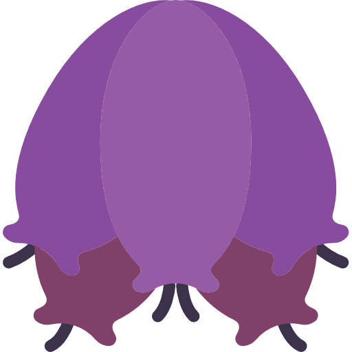 Heath plant heath flower icon