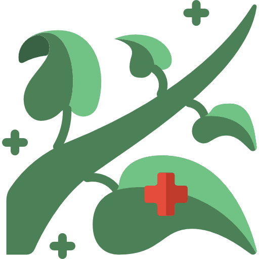Herbal healthcare and medical nature plants icon