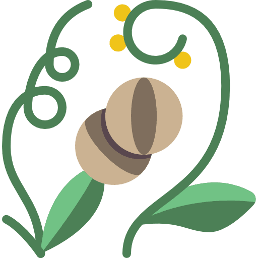 Herbal tablets nature herbal icon