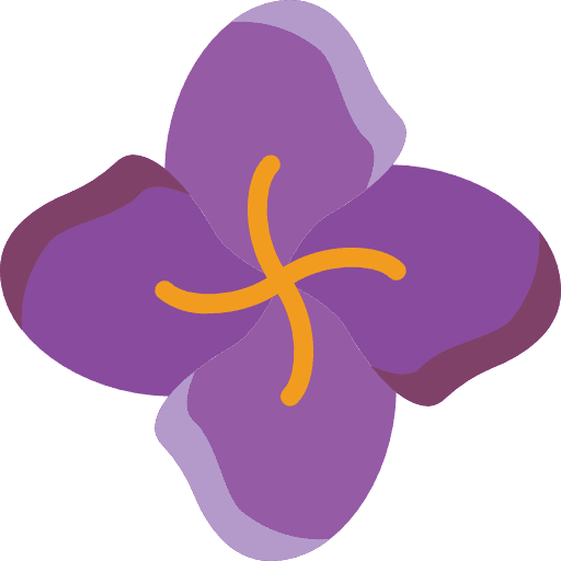 Melastome plant flower botanical icon