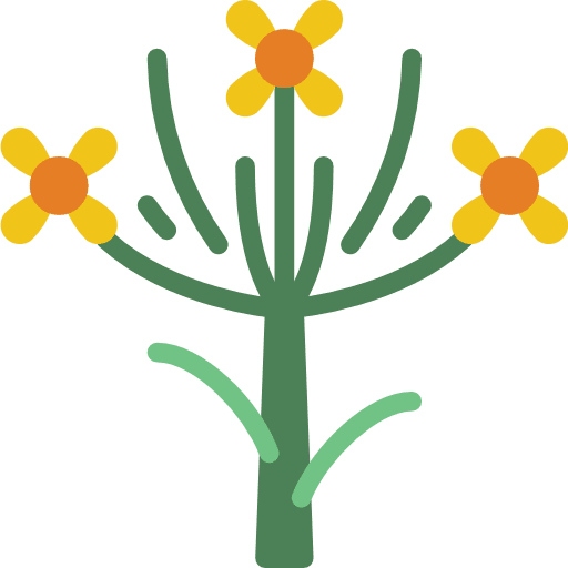 Parsley botanical plant nature icon