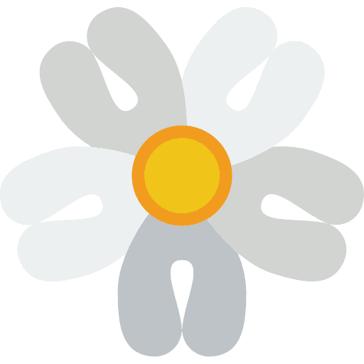 Parsley nature floral botanical icon