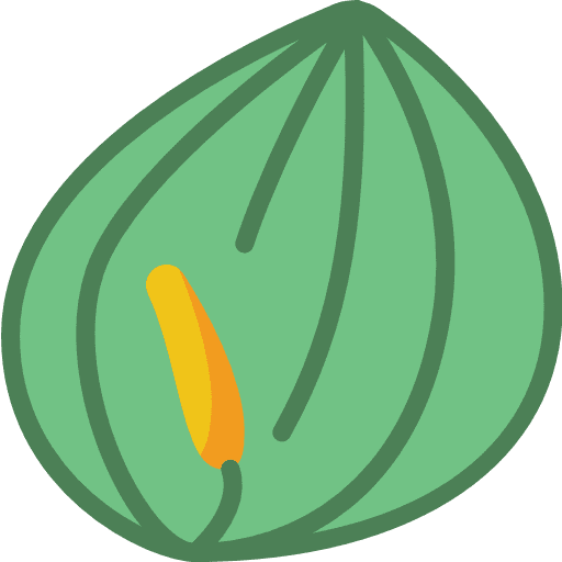 Pepper nature floral plant icon