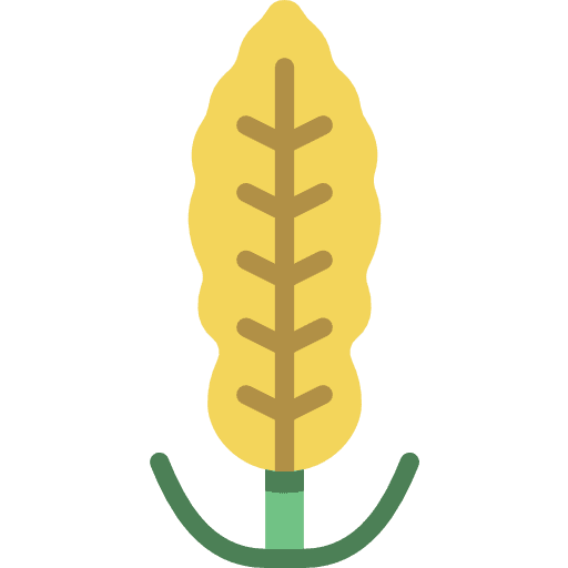 Pepper petal plant pepper icon