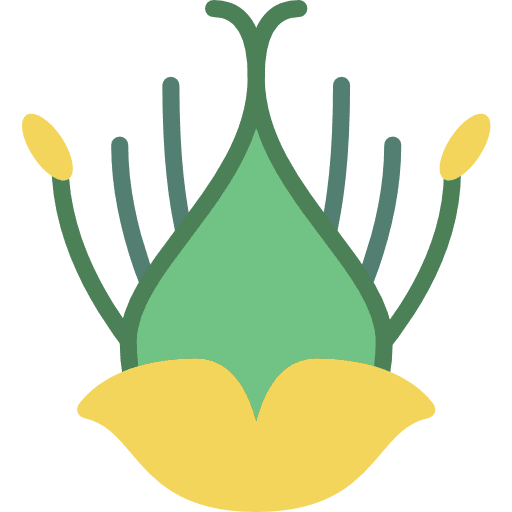 Sedge plant floral botanical icon