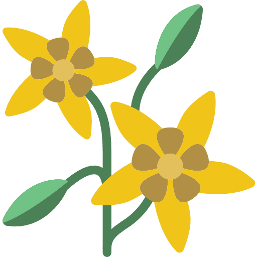 Spurge blossom floral spurge icon