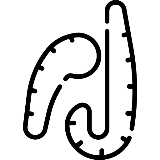 Curved needle fashion sew clothes icon Curved needle fashion sew clothes icon