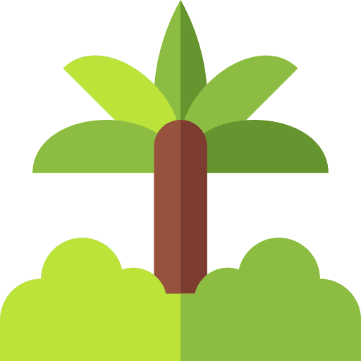 Palm tree beach summer botanical icon Palm tree beach summer botanical icon