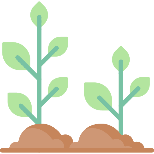 Sprout leaves tree plant icon