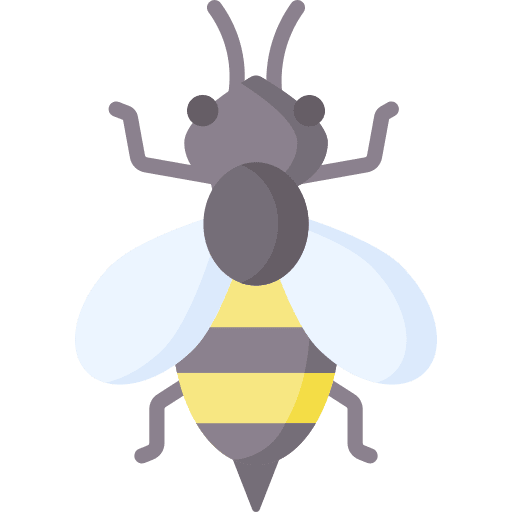 Bee season honey nature icon Bee season honey nature icon